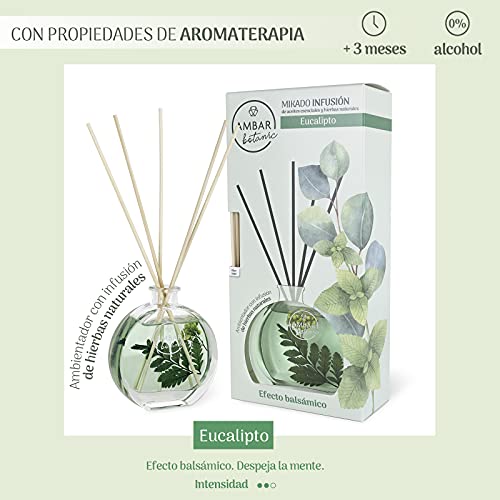 AMBAR PERFUMS Ambientador Mikado Menta & Eucalipto, Infusión Menta Eucalipto Ambar Botanic, 75 ml