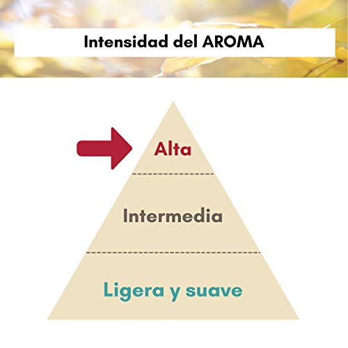 AMBICAR - Aromasticks ambientador para CASA. 4 bolsitas con palitos aromáticos para los armarios, cajones o zapateros. Pack Nº1 Frutos Rojos. Esencia Natural, SIN Alcohol ni Químicos, Fragancia Fresa