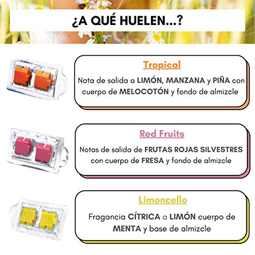 AMBICAR - Recambios para ambientador eléctrico COCHE o CASA. Pack MIX Nº1 (3 recambios) Esencias Naturales, SIN Alcohol ni Químicos. Aromas para difusor - Fragancias FRUTALES, Limón-Fresa-Frutas