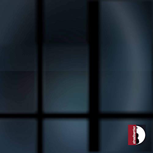 Ambient 5: Music in the Rooms (After B. Eno's "Music for Airports")