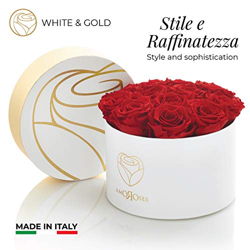 Amoroses 12 rosas reales estabilizadas que duran años - Flores preservadas Ideas para regalos, Rosas Eternas para Ocasiones Especiales (Caja Blanca con Rosas Rojas)