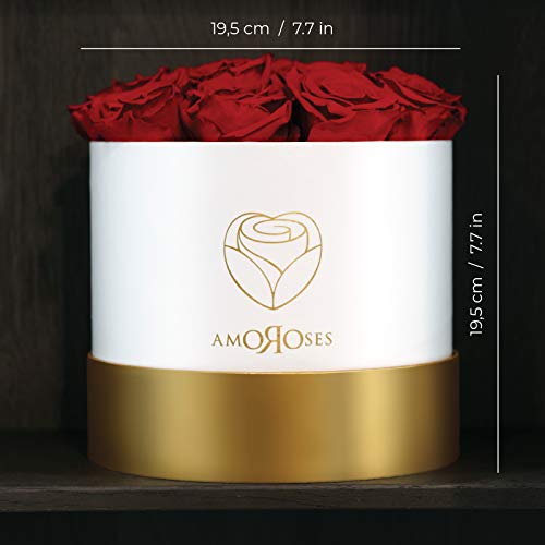 Amoroses 12 rosas reales estabilizadas que duran años - Flores preservadas Ideas para regalos, Rosas Eternas para Ocasiones Especiales (Caja Blanca con Rosas Rojas)