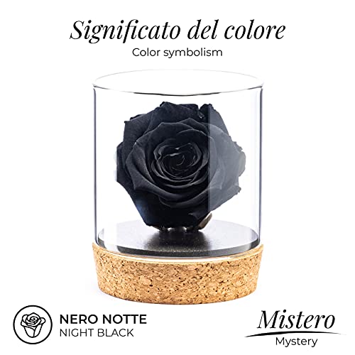 Amoroses Bijou - Rosa eterna estabilizada con cáliz bañado en oro de 24 quilates en tarro de cristal - Excelente idea regalo - Rosa de color negro noche