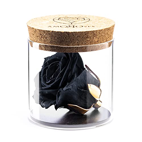 Amoroses Bijou - Rosa eterna estabilizada con cáliz bañado en oro de 24 quilates en tarro de cristal - Excelente idea regalo - Rosa de color negro noche