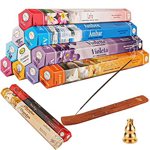 Amzeeniu Juego de Varillas de Incienso 240 Varitas de Incienso,12 Cajas Incienso Set para meditación,SPA,Yoga,Perfumados Aromaterapia12 Fragancias Diferentes con 1 Portaincienso,el Porta Incienso Que