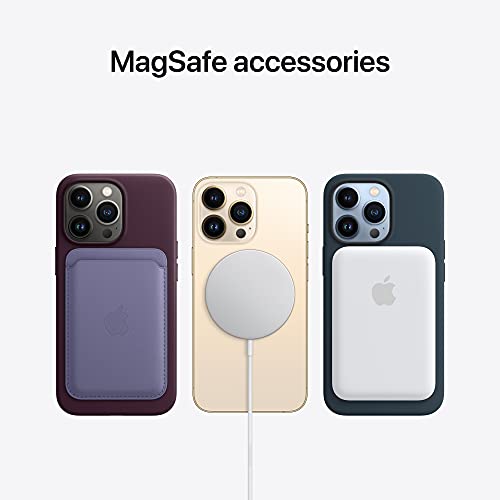 Apple Funda de Silicona con MagSafe (para el iPhone 13 Pro MAX) - Rosa Caliza