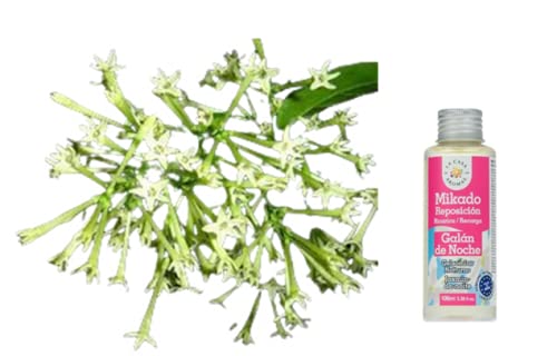 Aromas Mikado Reposición Con Varillas (Galan de Noche, 3*100ml)