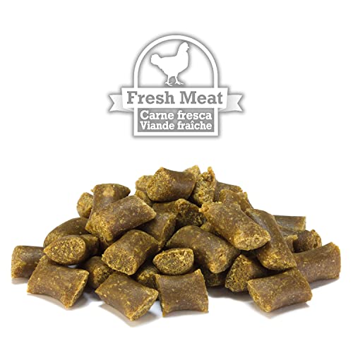 Arquivet Snacks naturales para perro - Carne fresca de pollo de granja - Chuches para perro - Golosinas para perro - Premios y recompensas para perros - 300 g