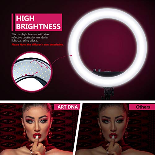Art DNA 14 Pulgadas Luz Anillo con Soporte de Trípode Plegable y Tubo Suave para Transmisión en Vivo Maquillaje TikTok Youtube Video Disparo 30W Luz Anillo Regulable Bicolor Selfie CRI 90 3200K-5600K