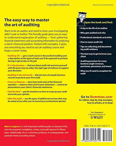 Auditing For Dummies