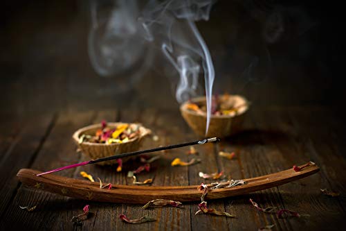 Auroshikha - 100 Varillas de Incienso - Paquete de 10 Cajas: pachulí, Salvia, nag Champa, jazmín, Lavanda, almizcle, Mirra, olíbano, Rosa, sándalo (10 fragancias - Set 1)
