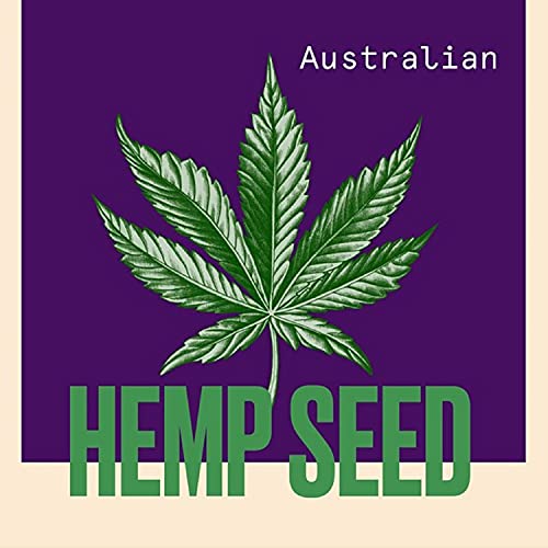 Aussie Hemp Calm the Frizz Spray desenredante (paquete de 6 x 250 ml) para cabello encrespado, con extracto de semilla de cáñamo australiano. Deja en spray acondicionador ligero. Botellas reciclables.