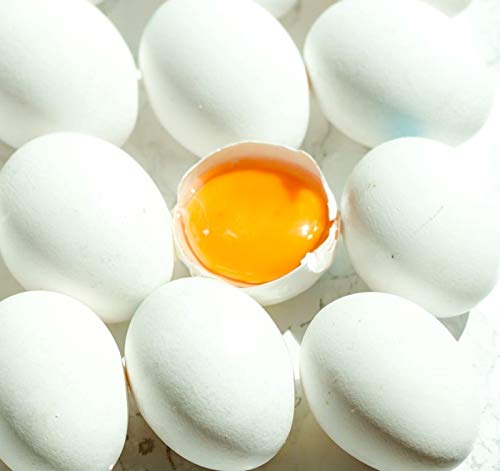 Benamôr - Nata Collection Crema láctea hidratante - Cuidado corporal reconfortante y abundante enriquecido con huevos - Fragancia gourmet - Sin parabenos - Tubo de 150 ml