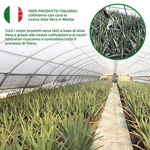 Benessence - Jugo y pulpa de Aloe Vera para beber, sin pasteurizar y sin filtrar - 1L