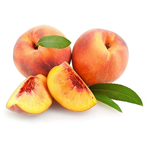 Benoon Semillas De Melocotón, 10 Piezas/Bolsa Semillas De Melocotón Dulce Rico En Vitamina No GMO Plántulas De Frutas Anuales Para Jardín Semillas de durazno