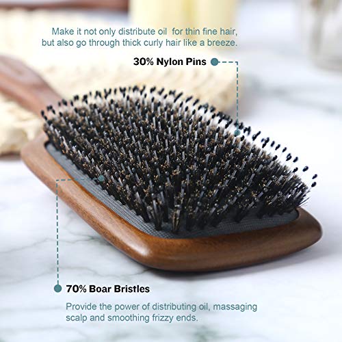 BESTOOL Cepillo de pelo con cerdas de jabalí con alfiler de nylon, uno de los mejores cepillos para el pelo para mujeres, hombres o niños, pelo largo grueso y rizado (paddel)