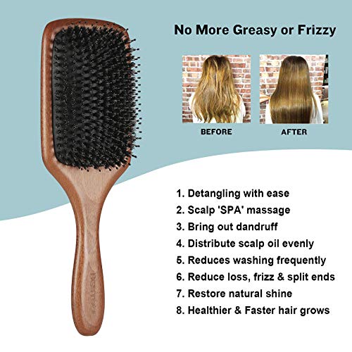 BESTOOL Cepillo de pelo con cerdas de jabalí con alfiler de nylon, uno de los mejores cepillos para el pelo para mujeres, hombres o niños, pelo largo grueso y rizado (paddel)