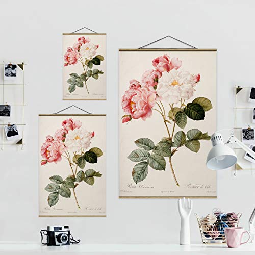 Bilderwelten Kakemono Art Alto 3:2, Motivo:Pierre Joseph Redoute Damascene Rose 75x50cm Roble