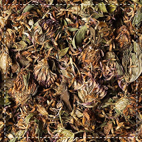 Biotiva Flores de trébol rojo orgánico 100g - Trifolium Pratense - té - trébol de pradera - embotellado y controlado en Alemania (DE-ÖKO-005)