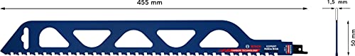 Bosch Professional 1 x Hojas de sierra sable Expert Hollow Brick S 2243 HM, para Bloque de construcción de poroton, Longitud 455 mm, Accesorios Sierra sable