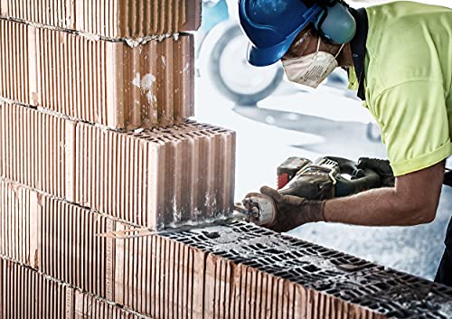 Bosch Professional 1 x Hojas de sierra sable Expert Hollow Brick S 2243 HM, para Bloque de construcción de poroton, Longitud 455 mm, Accesorios Sierra sable