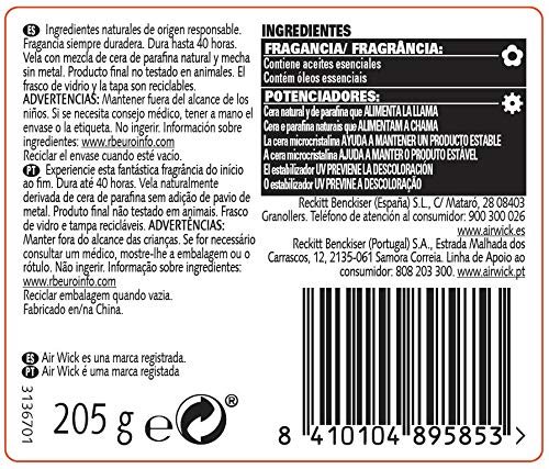 Botanica by Air Wick Vela Aromática Perfumada, Aroma de Vetiver Caribeño y Sándalo, 470g
