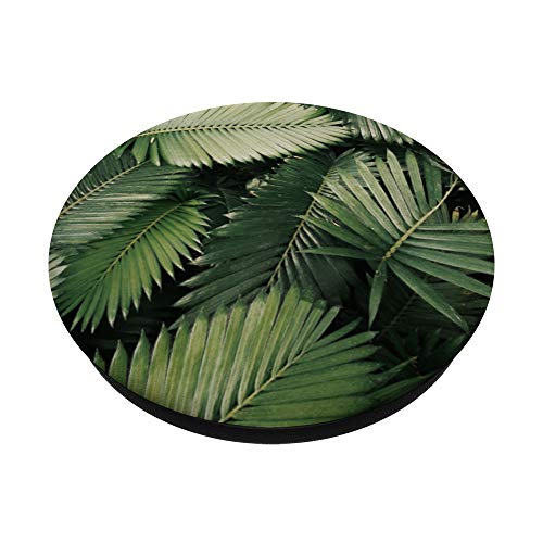 BOTÁNICOS DE FLOR DE PALMA VERDE PopSockets PopGrip Intercambiable