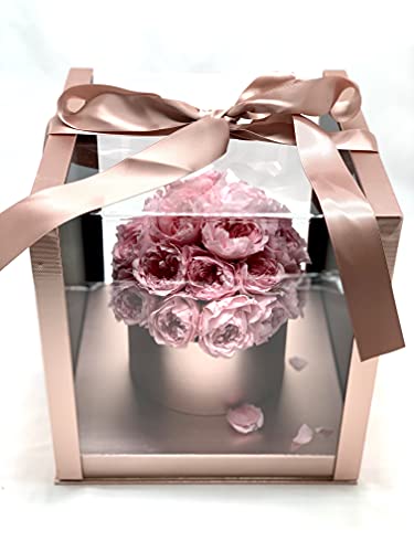 Bouquet Peonías preservadas Rosa - Flores día de la Madre - Peonias eternas en Caja Transparente con DEDICATORIA