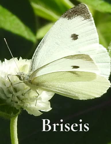 Briseis's Journal