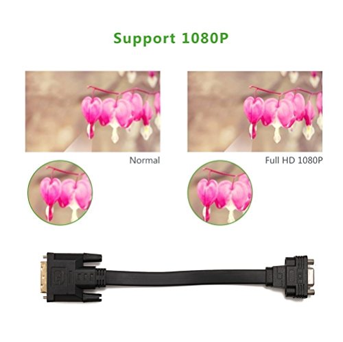 CableDeconn Activo DVI-D Dual Link 24 + 1 Macho a VGA Macho de vídeo con Soporte de Cable Adaptador convertidor