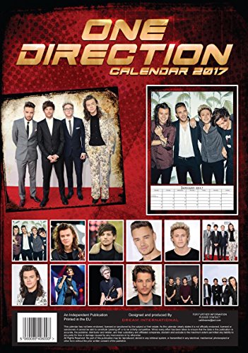 Calendario Tributo 2017 - One Direction
