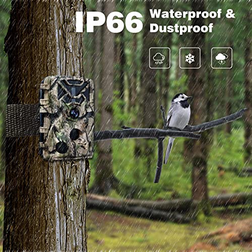 Camara Fototrampeo 4K 24MP, SOFELISH Camara Caza Nocturna con Tarjeta SD de 32G & 4 in 1 Lector de Tarjetas, Camara Caza con 42pcs Leds IR Visión Nocturna Activado por Movimiento IP66 Impermeabl