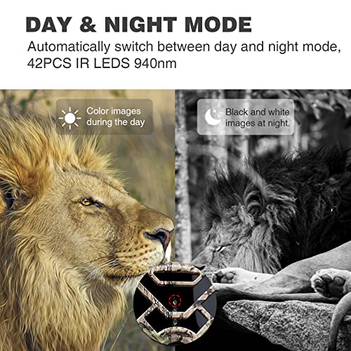 Camara Fototrampeo 4K 24MP, SOFELISH Camara Caza Nocturna con Tarjeta SD de 32G & 4 in 1 Lector de Tarjetas, Camara Caza con 42pcs Leds IR Visión Nocturna Activado por Movimiento IP66 Impermeabl