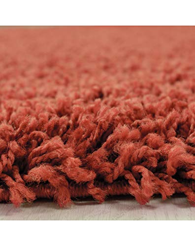 Carpet 1001 Alfombra de pelo largo para salón, de fácil cuidado, 3 cm de altura de pelo, certificado Oeko-Tex, color terracota, 240 x 340 cm