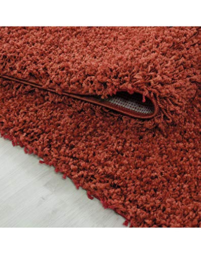 Carpet 1001 Alfombra de pelo largo para salón, de fácil cuidado, 3 cm de altura de pelo, certificado Oeko-Tex, color terracota, 240 x 340 cm