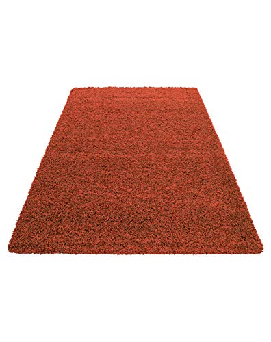 Carpet 1001 Alfombra de pelo largo para salón, de fácil cuidado, 3 cm de altura de pelo, certificado Oeko-Tex, color terracota, 240 x 340 cm