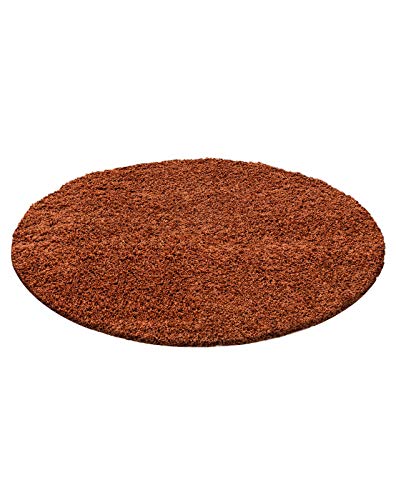 Carpet 1001 Alfombra de pelo largo para salón, de fácil cuidado, 3 cm de altura de pelo, certificado Oeko-Tex, color terracota, 240 x 340 cm
