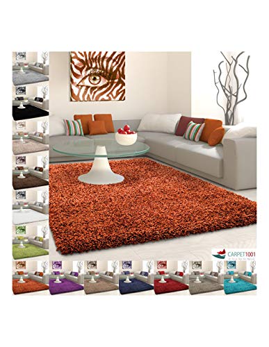 Carpet 1001 Alfombra Pelo Largo, Pelo Largo, Pelo Largo, Unicolor, Diferentes Medidas y Colores - Terracota, 200x290 cm