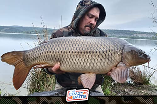 carpfishing. POPUPS. Boilies Cebo Flotante para Pesca de Carpas con aminoacidos y proteinas. Bote de 50 Gramos. Gama TOPSECRET Marca TheCrazyBaits.