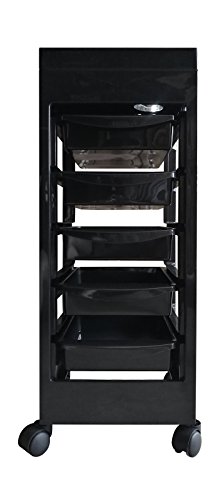 Carrito de Mantenimiento con Ruedas Profesional para Peluquería, Barbería, Perfumería, Cosméticos, Salón, Tienda de Tatuaje, Manicura y Pedicura, Color Negro