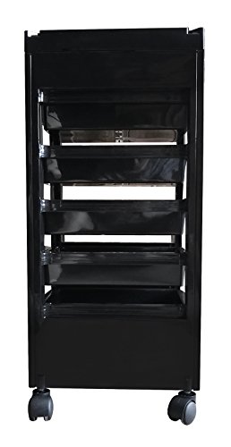 Carrito de Mantenimiento con Ruedas Profesional para Peluquería, Barbería, Perfumería, Cosméticos, Salón, Tienda de Tatuaje, Manicura y Pedicura, Color Negro