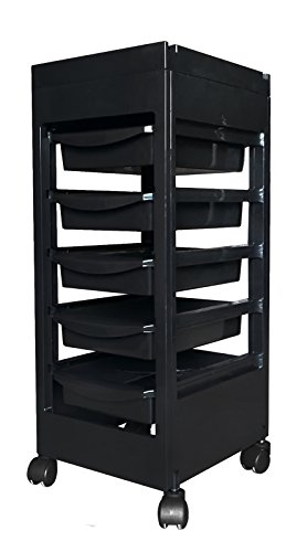 Carrito de Mantenimiento con Ruedas Profesional para Peluquería, Barbería, Perfumería, Cosméticos, Salón, Tienda de Tatuaje, Manicura y Pedicura, Color Negro