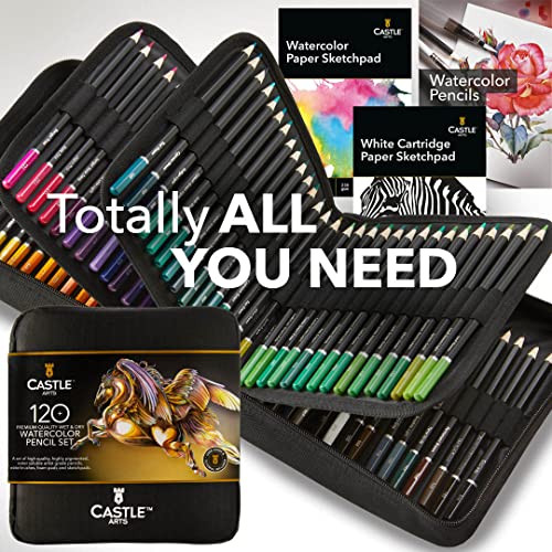 Castle Art Supplies Estuche 120 Lápices Acuarela con Accesorios | Pigmentos Intensos | Pinta y Dibuja a la vez | Para Aficionados Experimentados y Profesionales | En Estuche de Viaje Portátil