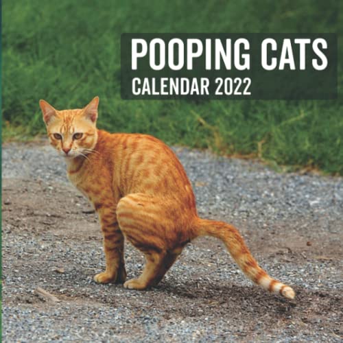 Cats Pooping 2022 Calendar: Funny Animal Lover Gag Joke Cats Answering Nature's Call For Cat Lovers / Owner including Space To Take Notes | Gift For: ... Santa, Exchange Stocking Filler or Stuffer