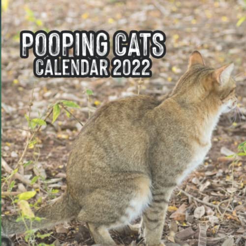Cats Pooping Calendar 2022: Funny Animal Lover Gag Joke Cats Answering Nature's Call For Cat Lovers / Owner including Space To Take Notes | Gift For: ... Santa, Exchange Stocking Filler or Stuffer