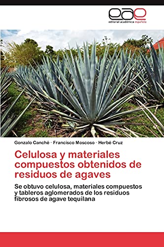 Celulosa y Materiales Compuestos Obtenidos de Residuos de Agaves: Se obtuvo celulosa, materiales compuestos y tableros aglomerados de los residuos fibrosos de agave tequilana