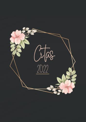 Citas 2022: Libro Agenda para peluquería, estética y salones de belleza profesional, día por página con horas, planificador de citas horario 8h a 21h A4 anual 12 meses con fechas y Calendario. Español