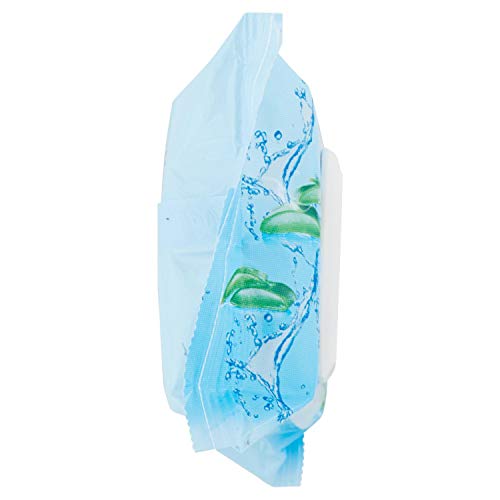 CLINIANS HYDRA PLUS, toallitas desmaquillantes para rostro, ojos y labios para piel normal o mixta, con Jugo de Aloe Vera, 25 toallitas