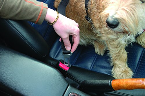 Clix Carsafe Arnés Perros para el Automóvil, L
