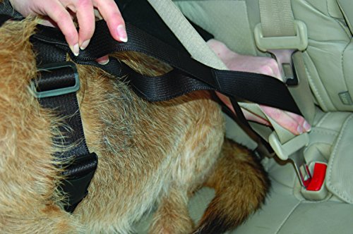 Clix Carsafe Arnés Perros para el Automóvil, L
